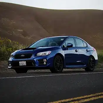 luke marcelo whaxwdzikra unsplash small